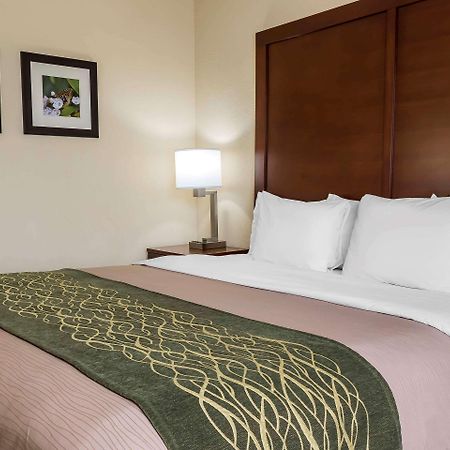 Comfort Inn - Pocono Mountains Уайтхейвен Экстерьер фото