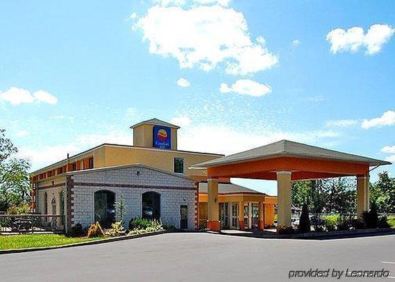 Comfort Inn - Pocono Mountains Уайтхейвен Экстерьер фото
